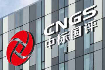 CNGS anti-counterfeiting rating query system